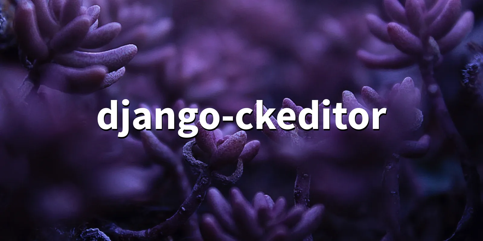 /pkg/d/django-ckeditor/django-ckeditor-banner.webp