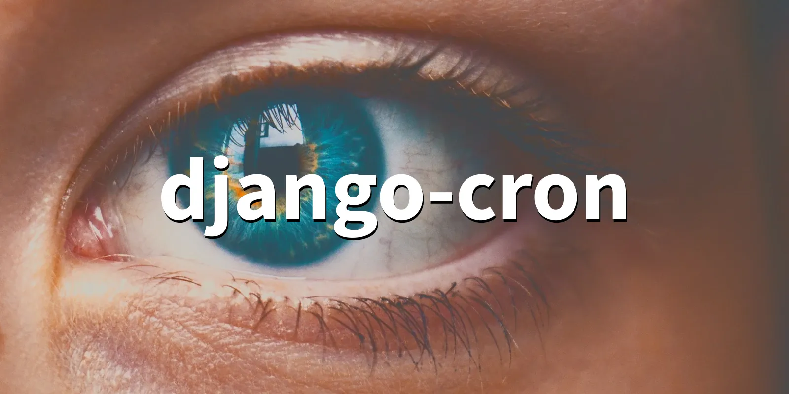 /pkg/d/django-cron/django-cron-banner.webp