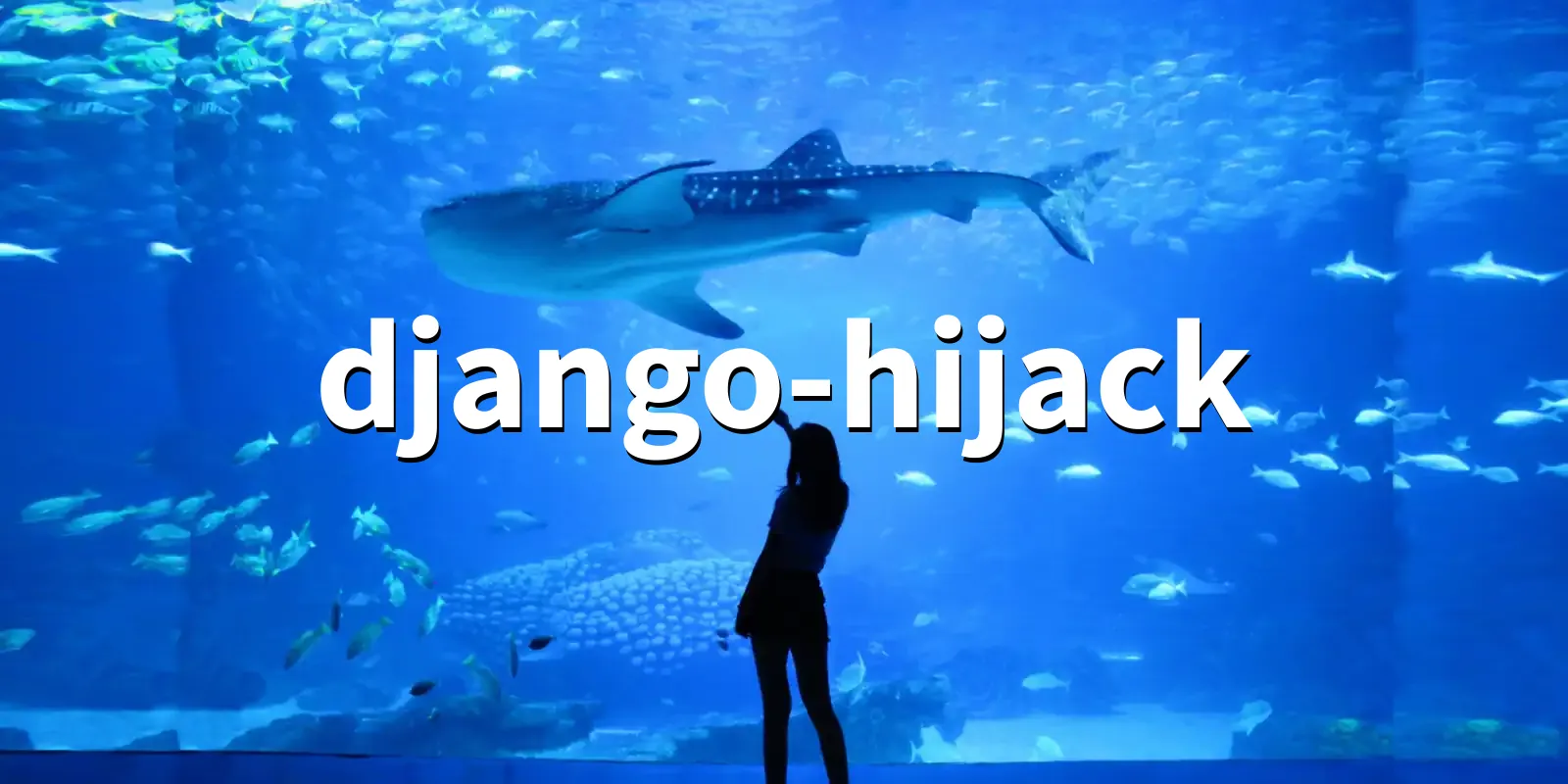 /pkg/d/django-hijack/django-hijack-banner.webp