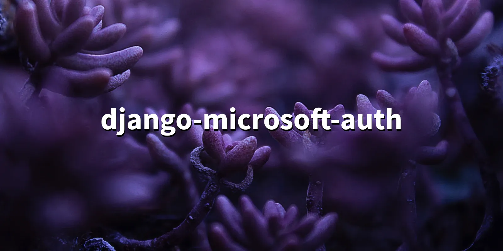 /pkg/d/django-microsoft-auth/django-microsoft-auth-banner.webp