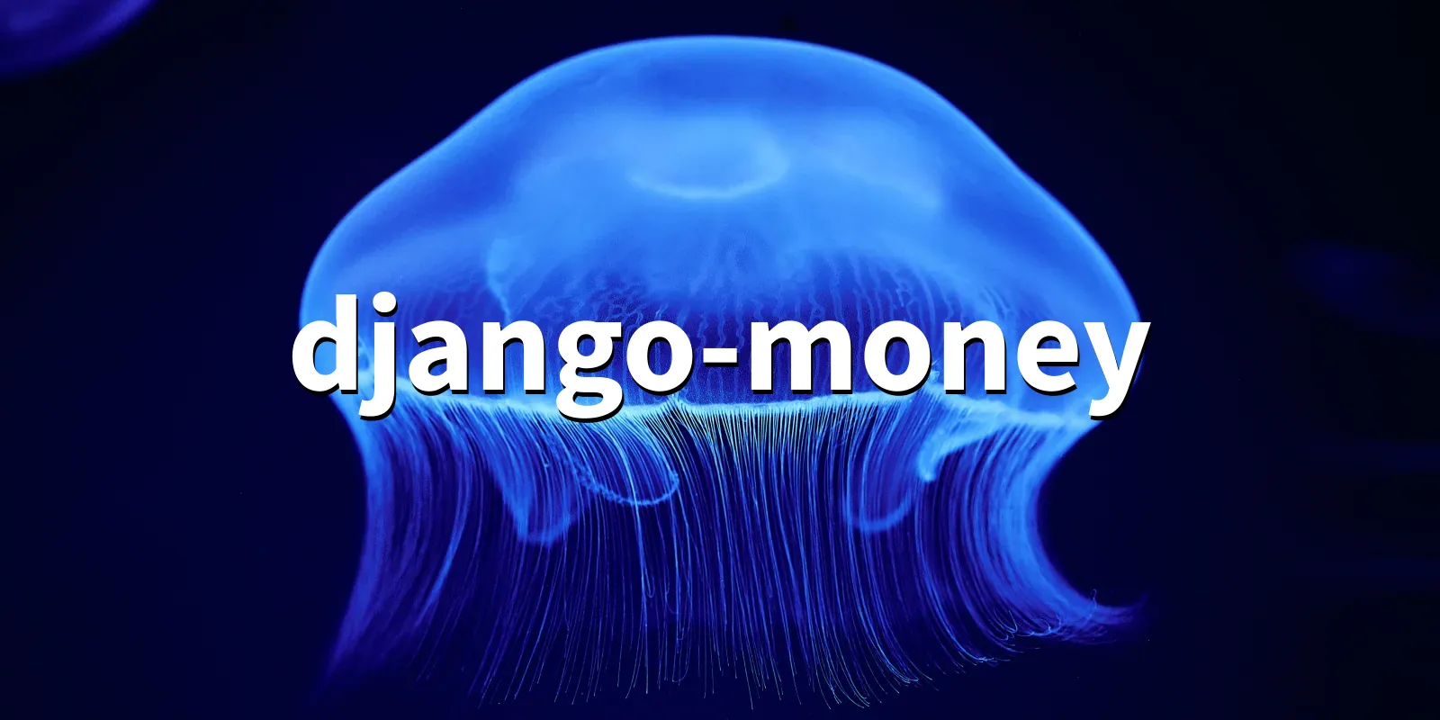 /pkg/d/django-money/django-money-banner.webp