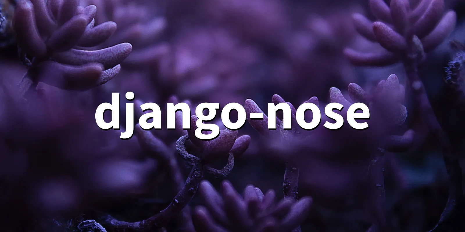 /pkg/d/django-nose/django-nose-banner.webp