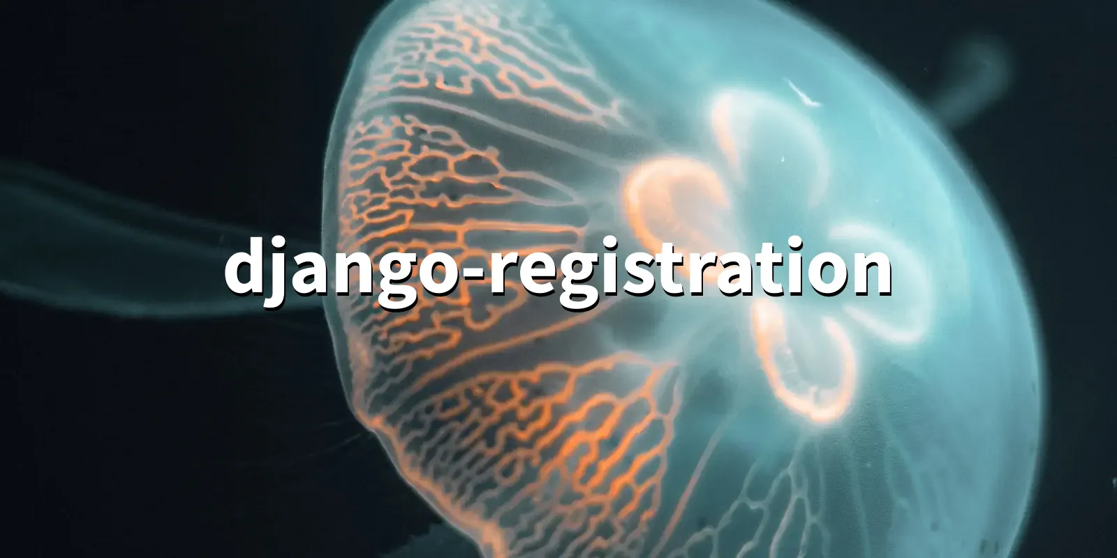 /pkg/d/django-registration/django-registration-banner.webp