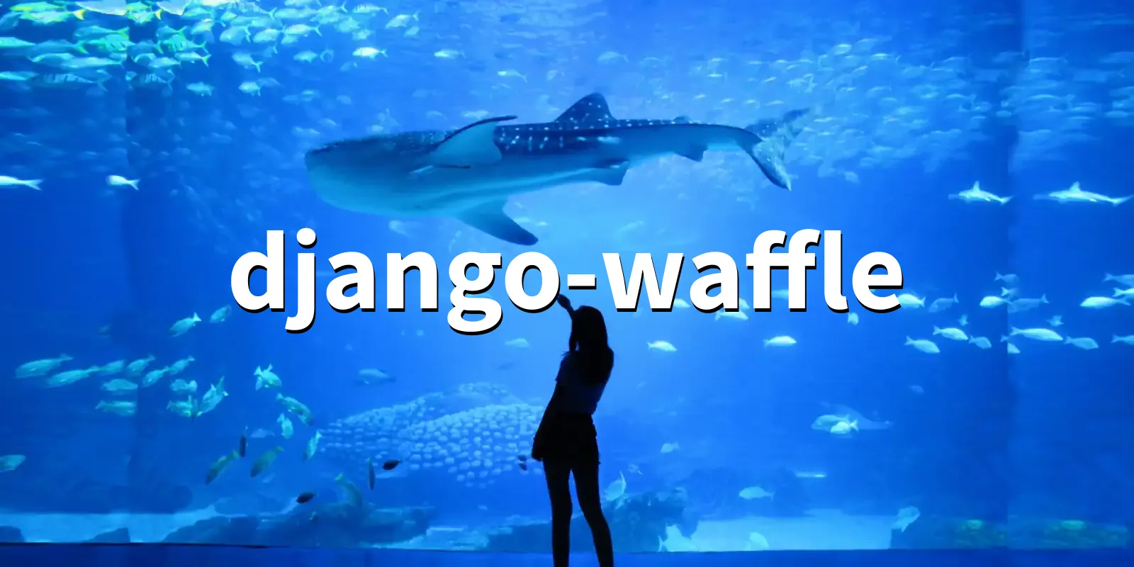 /pkg/d/django-waffle/django-waffle-banner.webp
