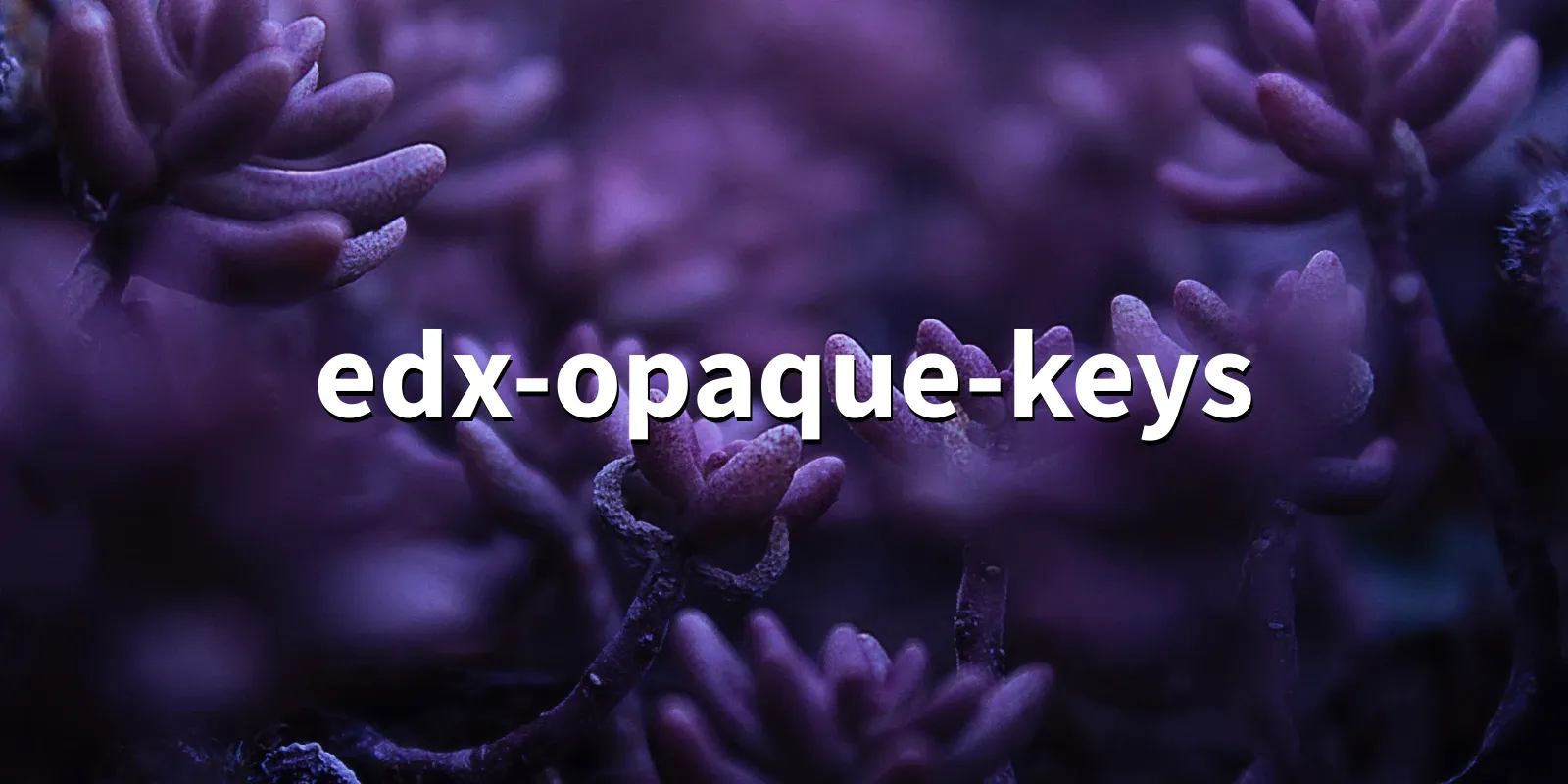 /pkg/e/edx-opaque-keys/edx-opaque-keys-banner.webp