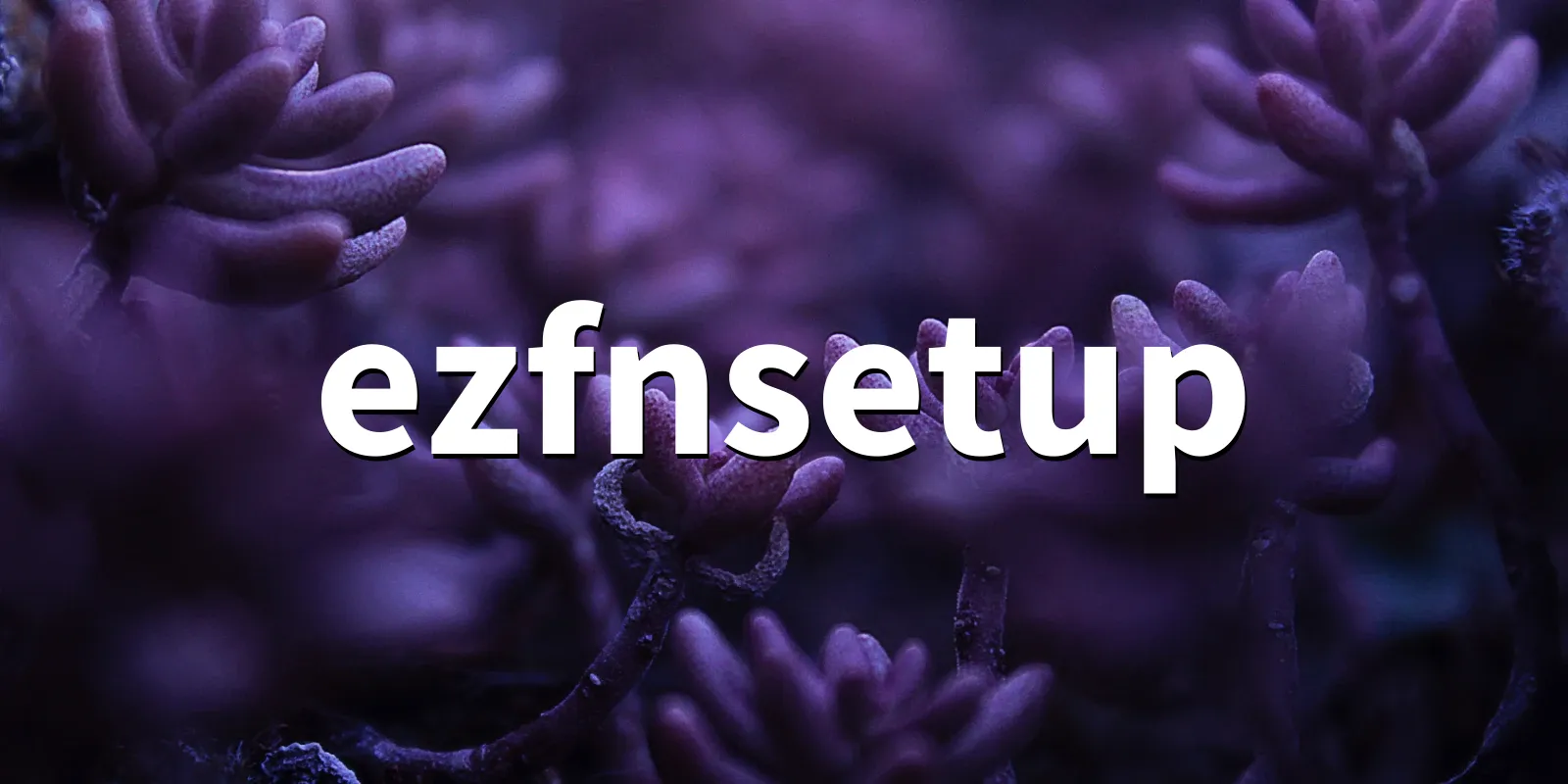 /pkg/e/ezfnsetup/ezfnsetup-banner.webp