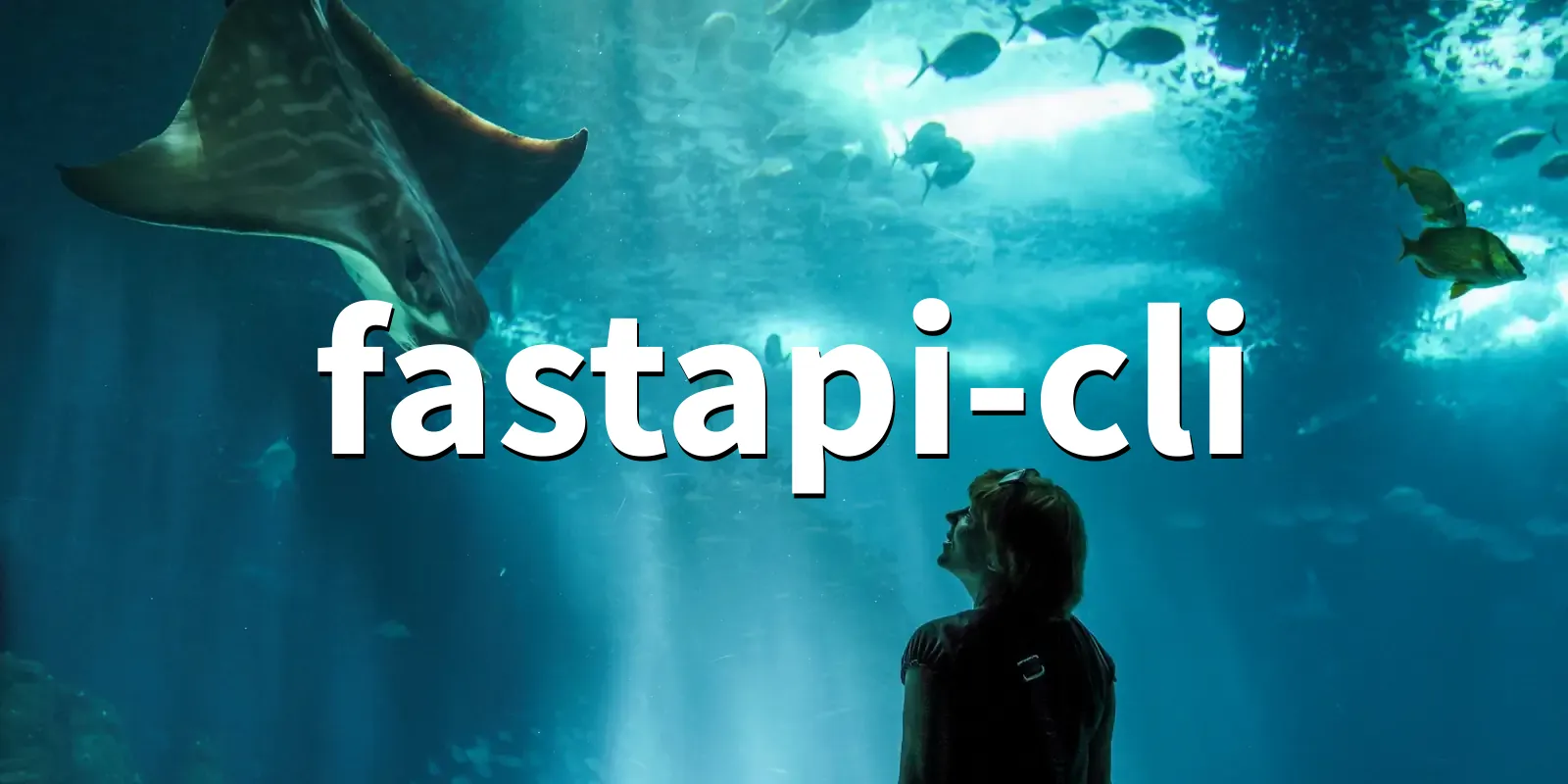 /pkg/f/fastapi-cli/fastapi-cli-banner.webp