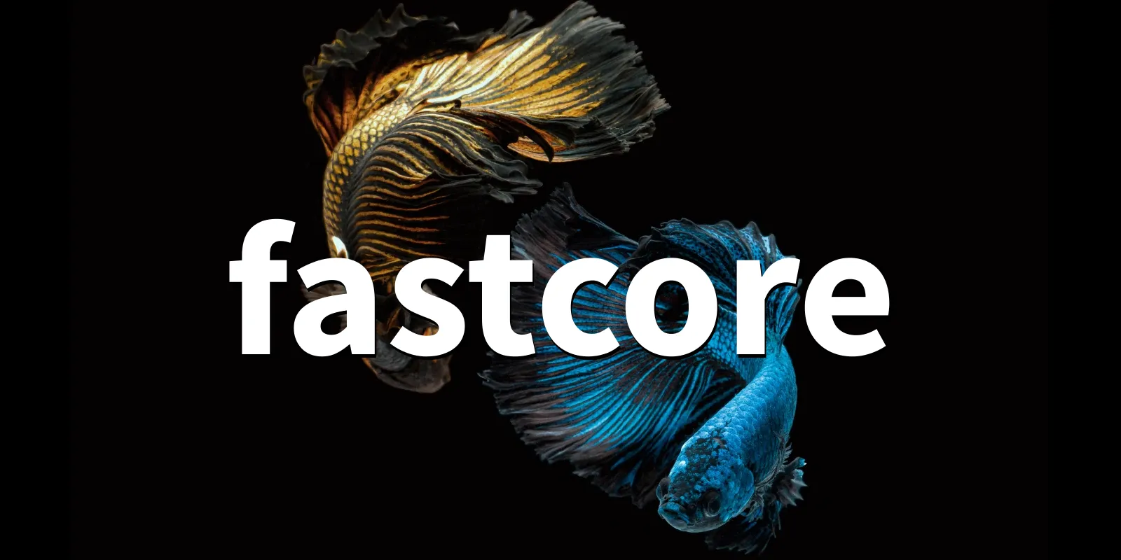 /pkg/f/fastcore/fastcore-banner.webp