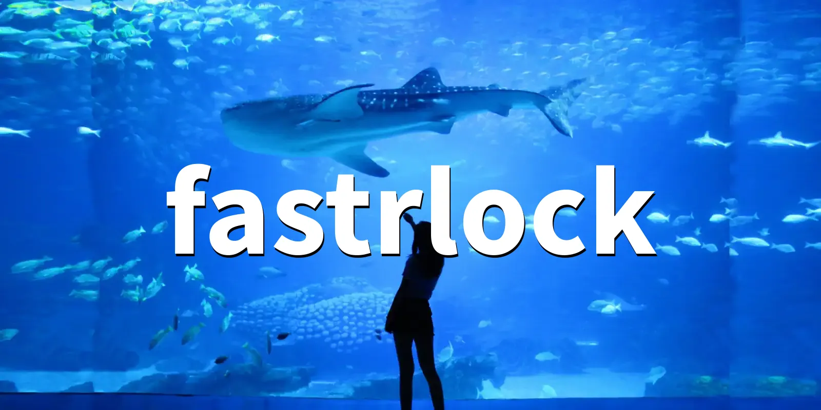 /pkg/f/fastrlock/fastrlock-banner.webp