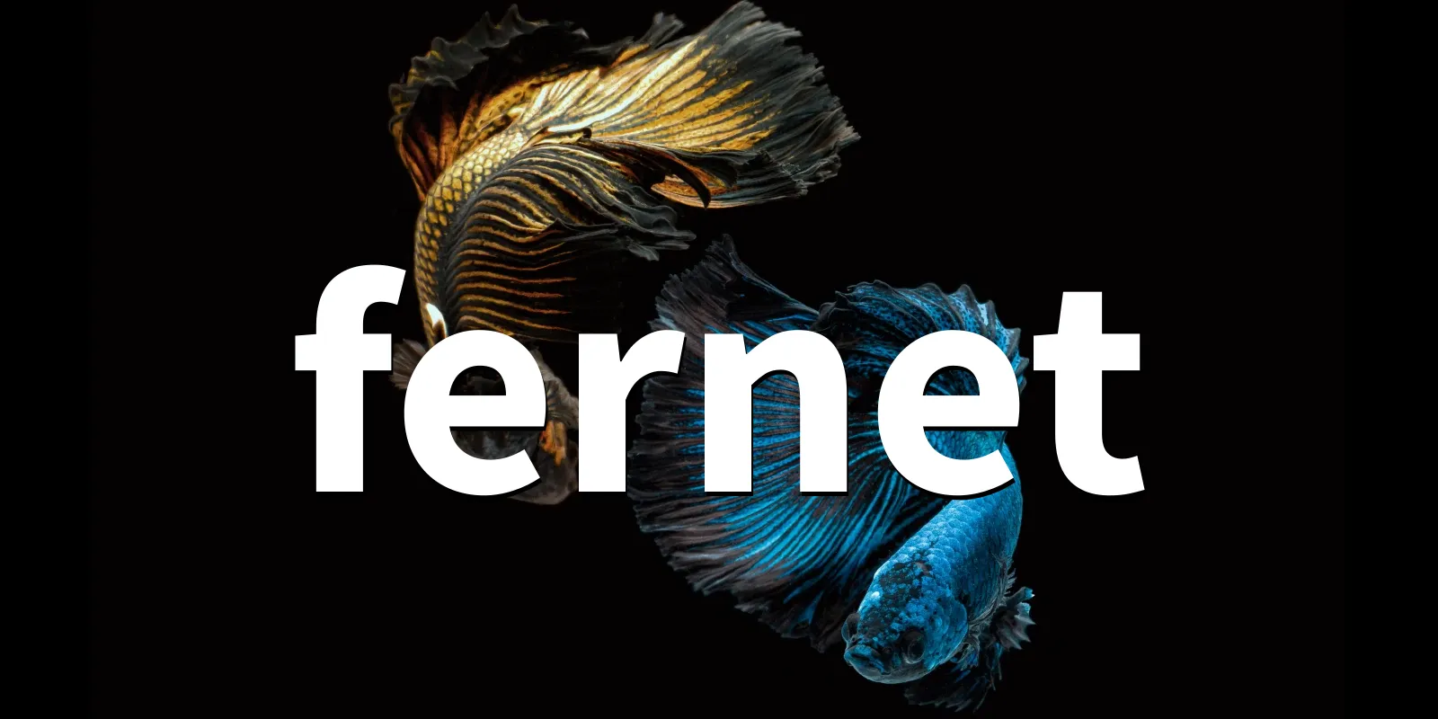 /pkg/f/fernet/fernet-banner.webp