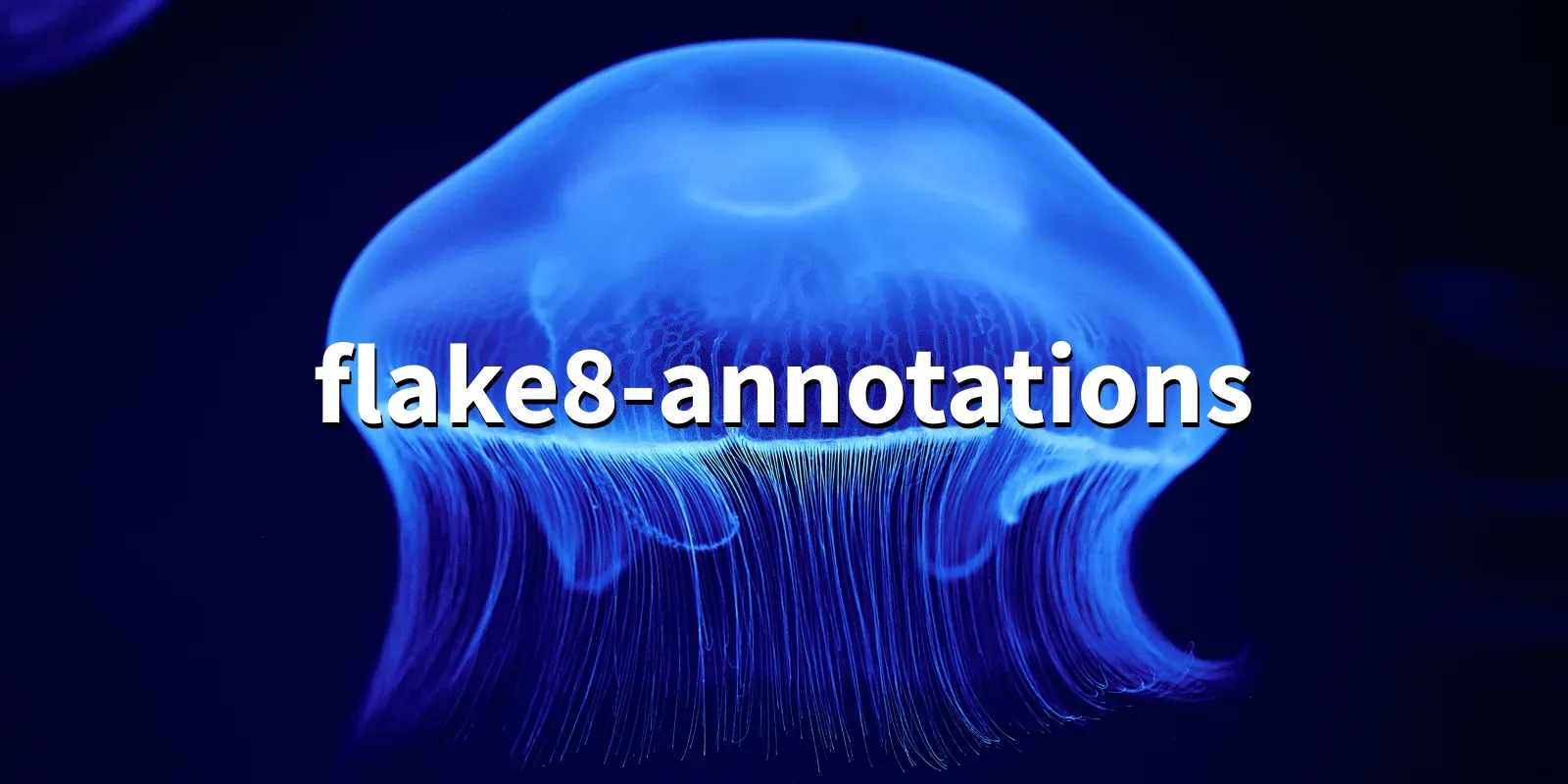 /pkg/f/flake8-annotations/flake8-annotations-banner.webp