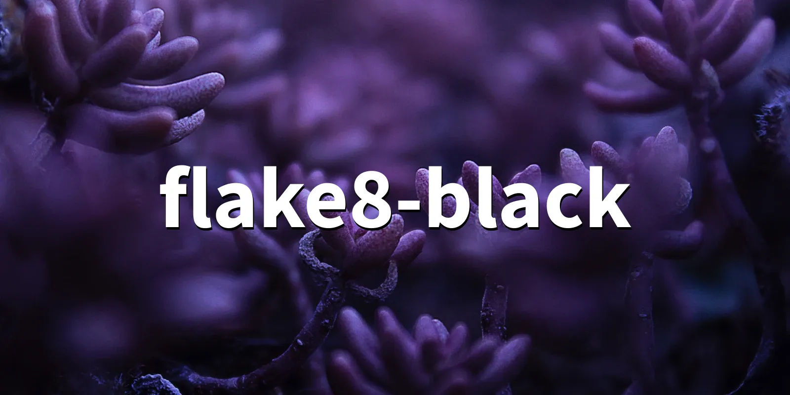 /pkg/f/flake8-black/flake8-black-banner.webp