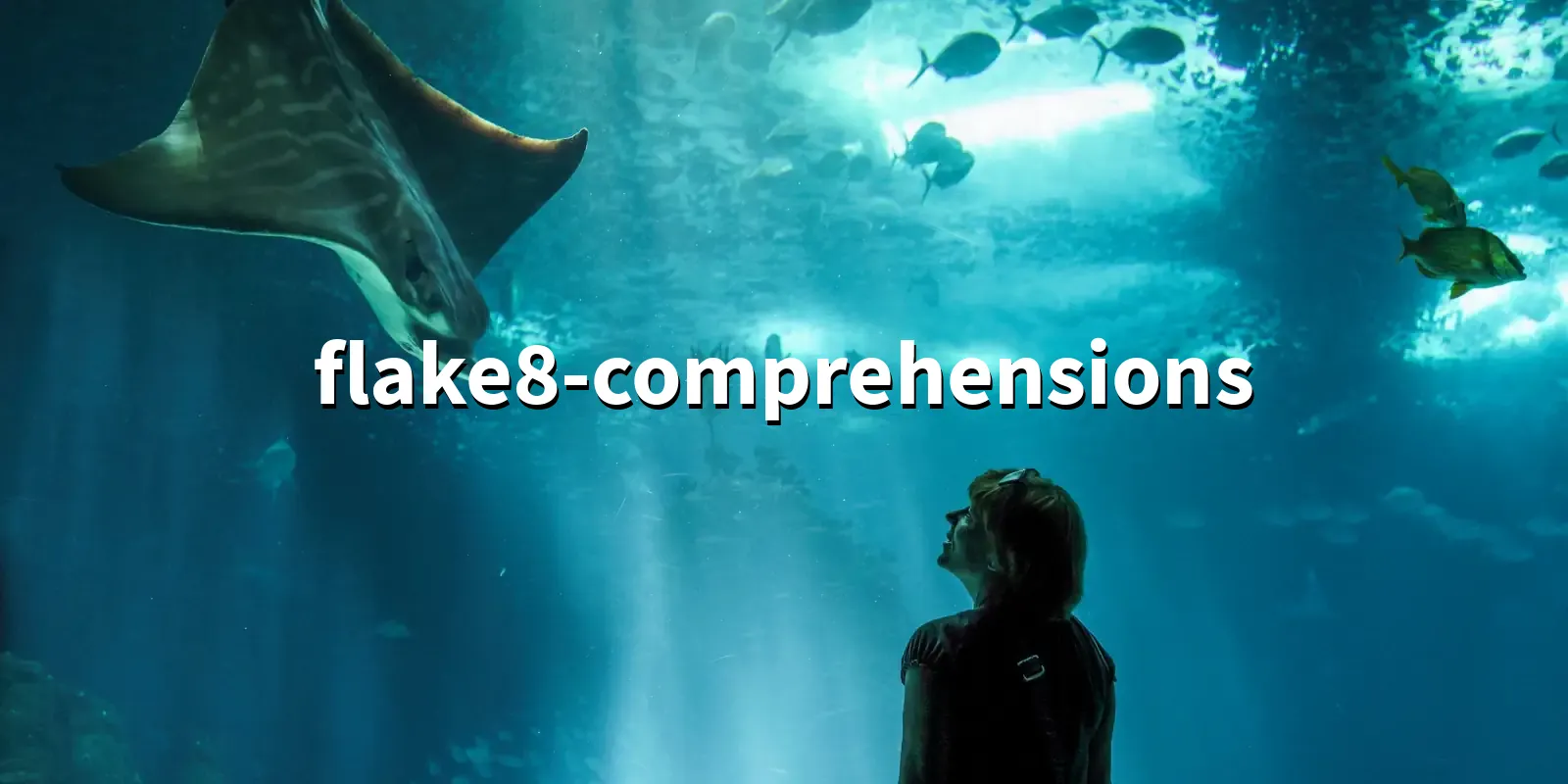 /pkg/f/flake8-comprehensions/flake8-comprehensions-banner.webp