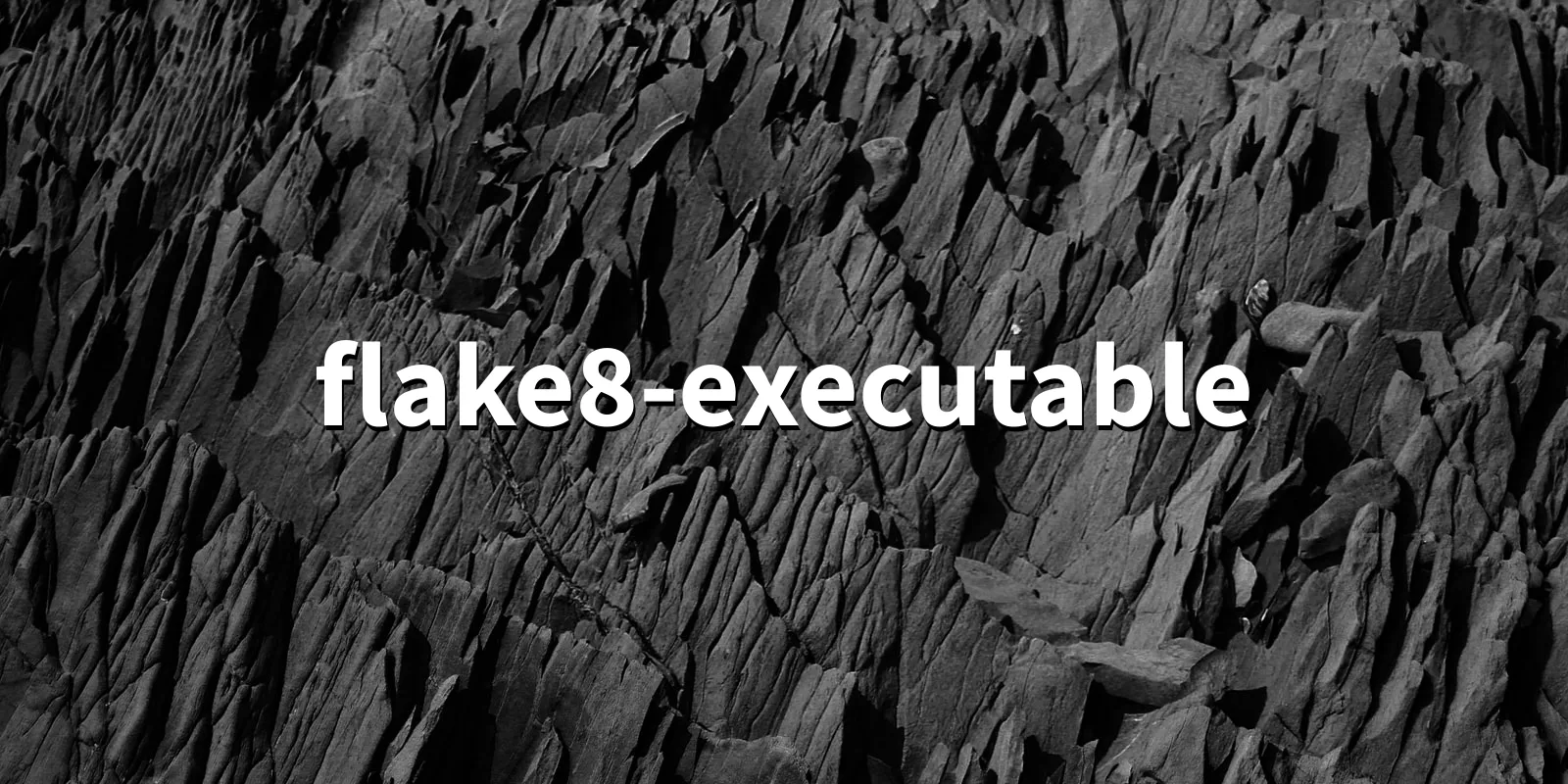 /pkg/f/flake8-executable/flake8-executable-banner.webp