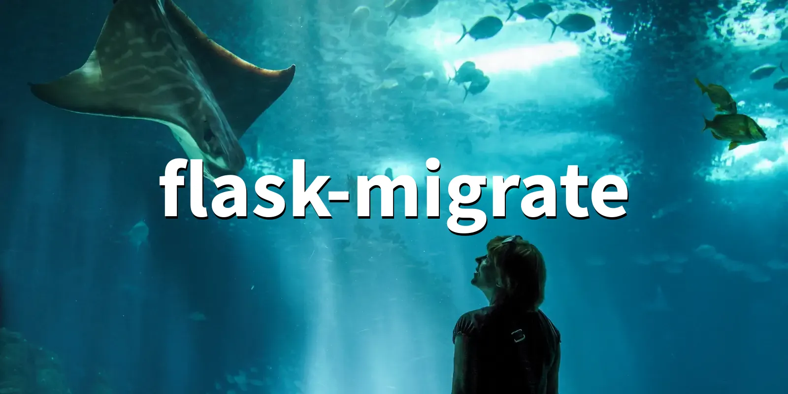 /pkg/f/flask-migrate/flask-migrate-banner.webp