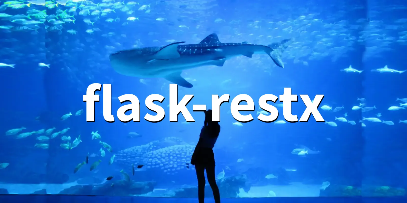 /pkg/f/flask-restx/flask-restx-banner.webp
