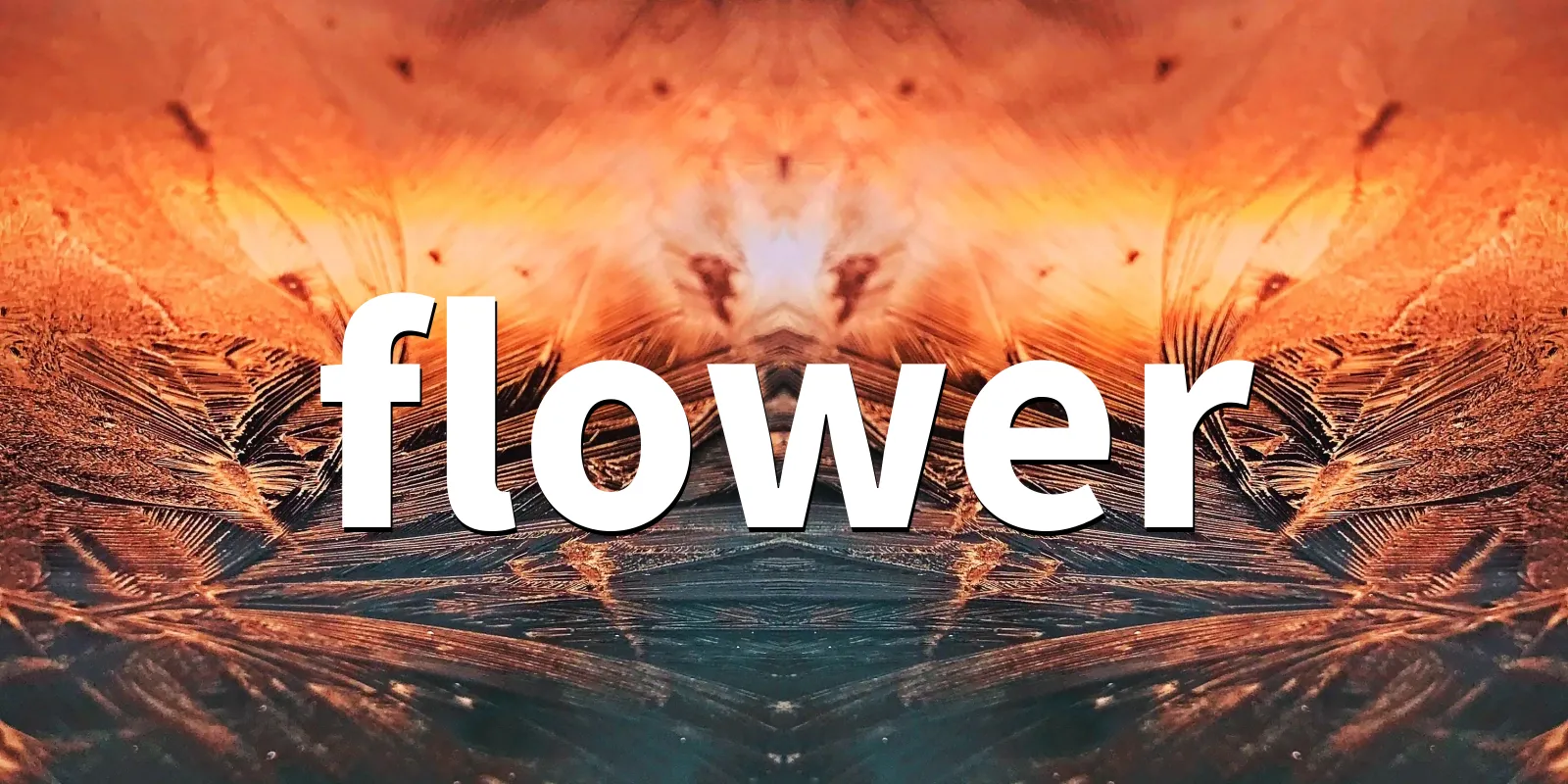 /pkg/f/flower/flower-banner.webp