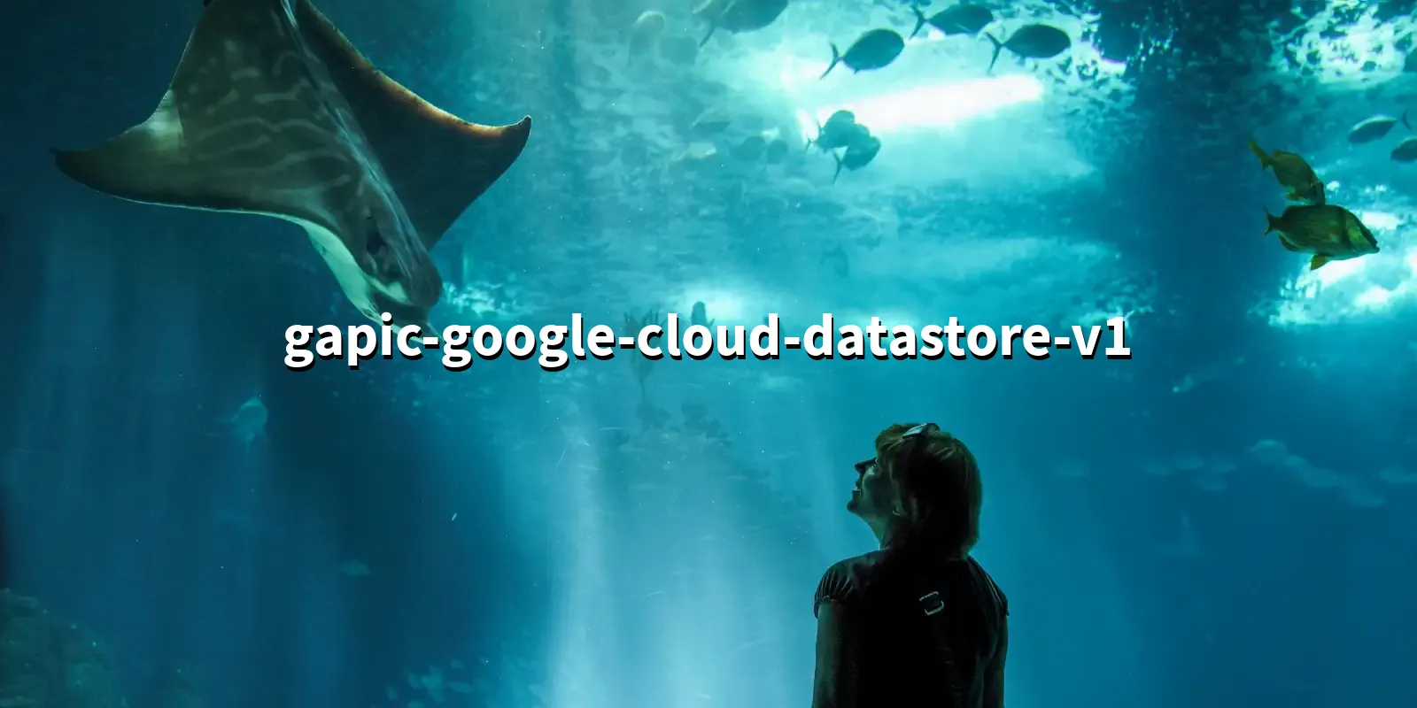 /pkg/g/gapic-google-cloud-datastore-v1/gapic-google-cloud-datastore-v1-banner.webp