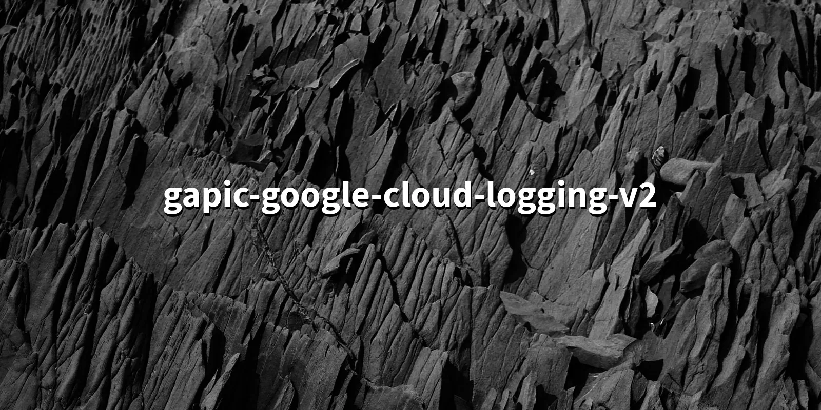 /pkg/g/gapic-google-cloud-logging-v2/gapic-google-cloud-logging-v2-banner.webp