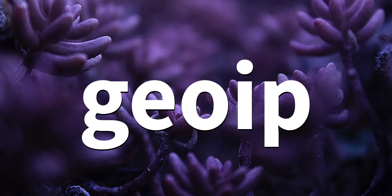 /pkg/g/geoip/geoip-banner.webp