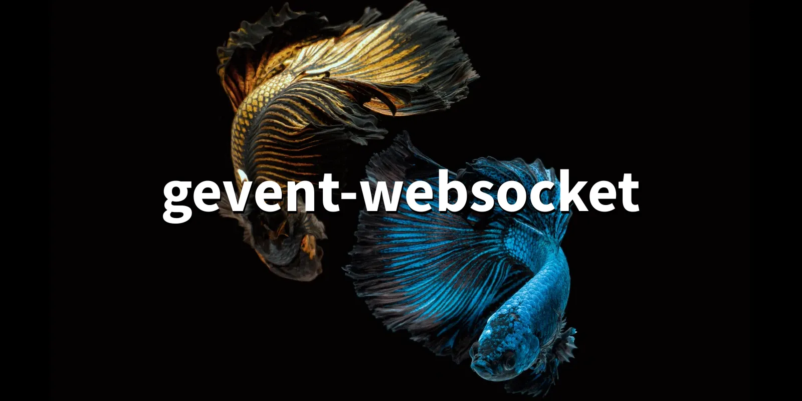 /pkg/g/gevent-websocket/gevent-websocket-banner.webp