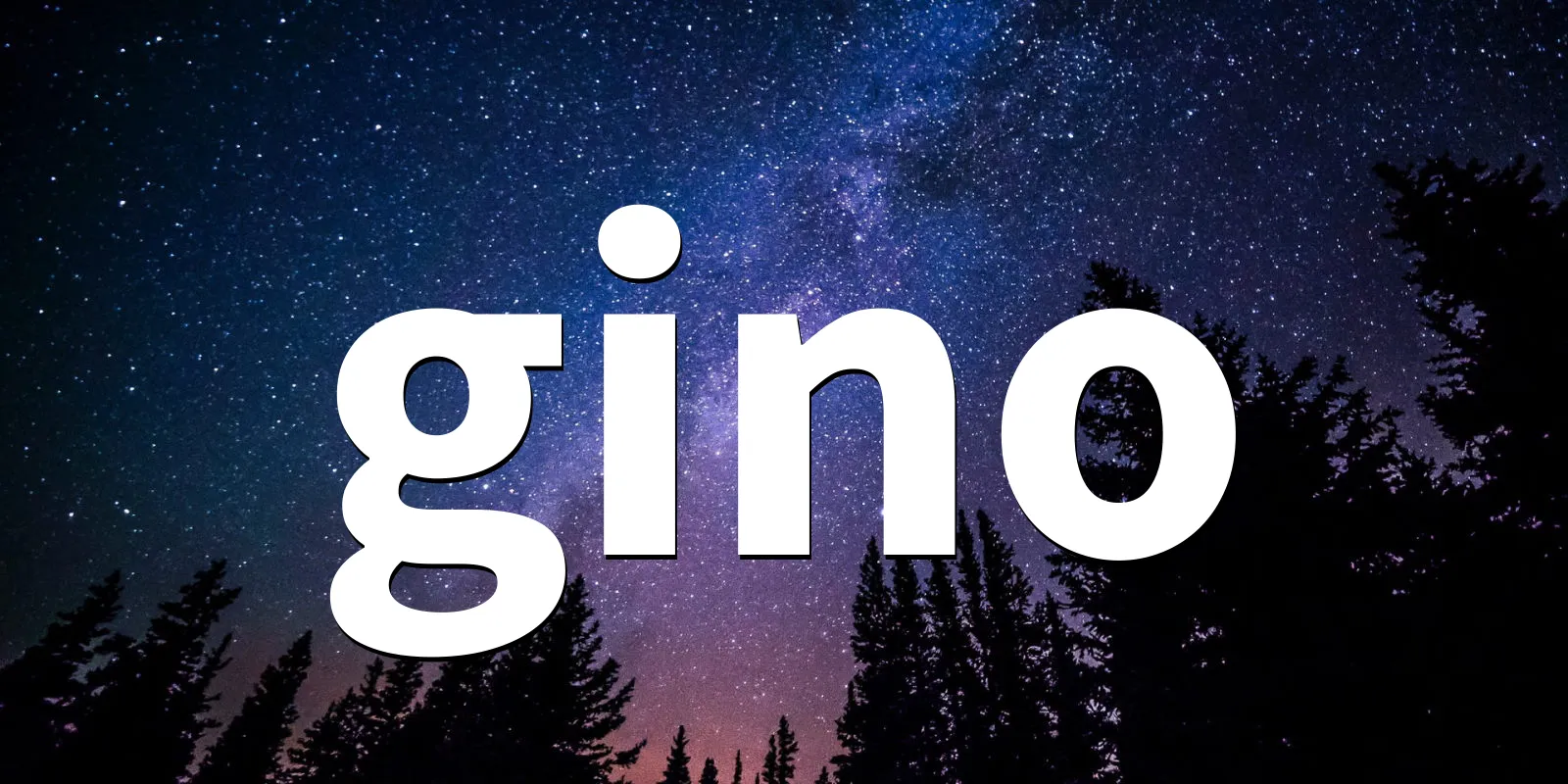 /pkg/g/gino/gino-banner.webp