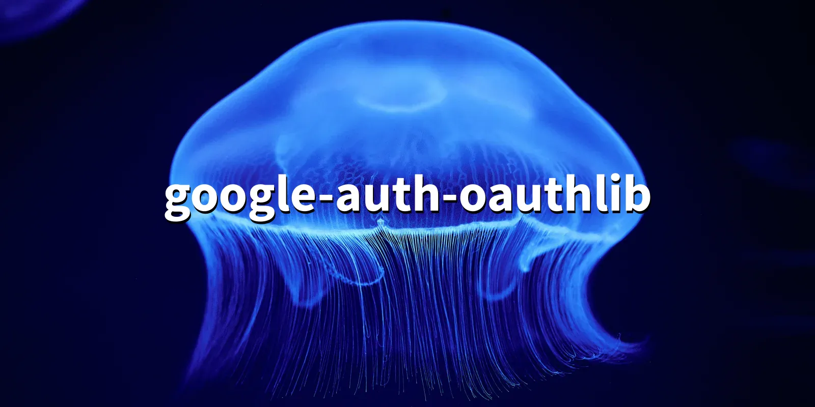 /pkg/g/google-auth-oauthlib/google-auth-oauthlib-banner.webp