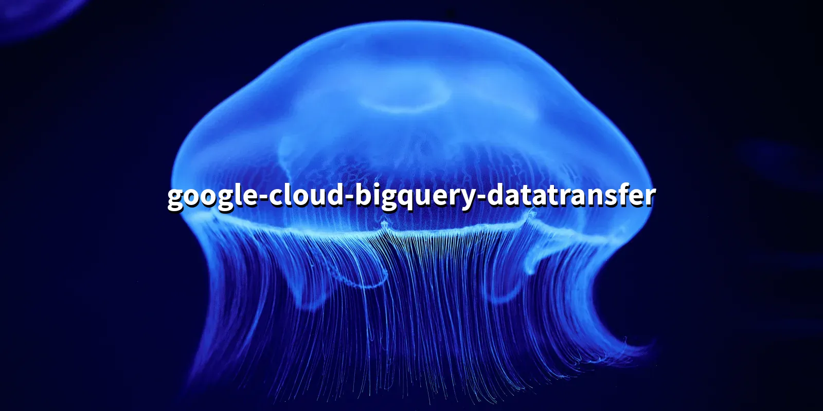 /pkg/g/google-cloud-bigquery-datatransfer/google-cloud-bigquery-datatransfer-banner.webp