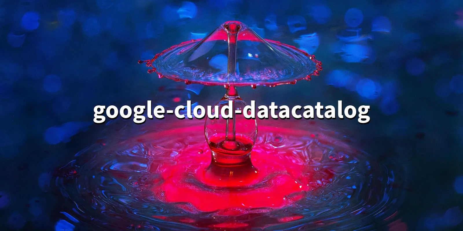 /pkg/g/google-cloud-datacatalog/google-cloud-datacatalog-banner.webp