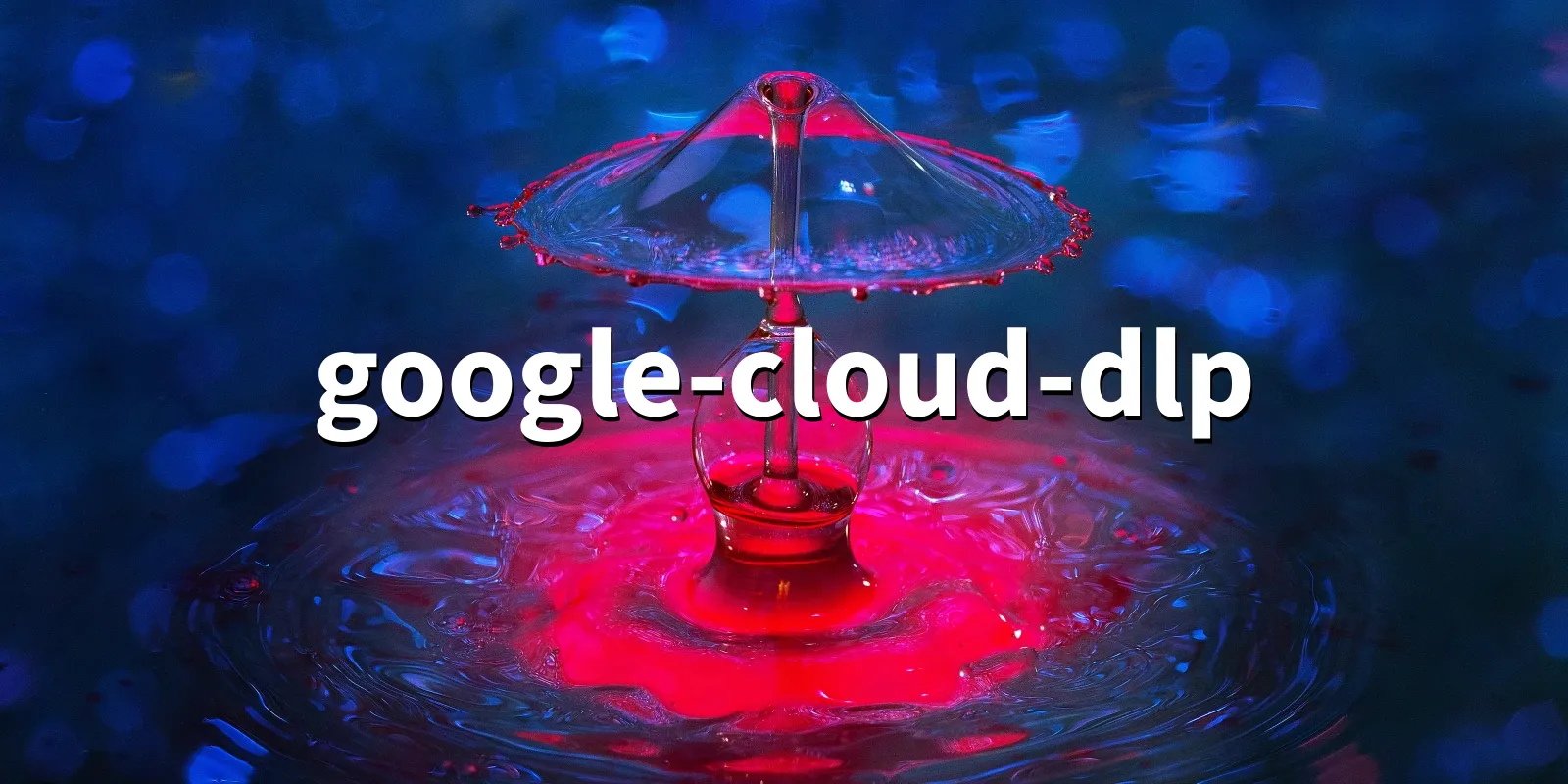 /pkg/g/google-cloud-dlp/google-cloud-dlp-banner.webp