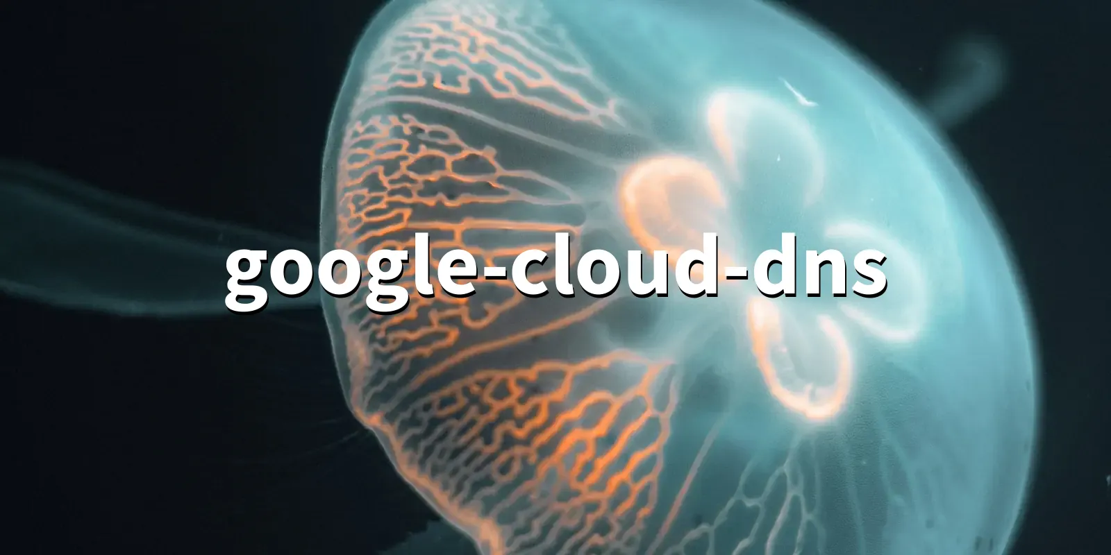 /pkg/g/google-cloud-dns/google-cloud-dns-banner.webp