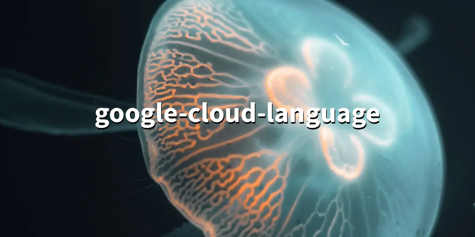 /pkg/g/google-cloud-language/google-cloud-language-banner.webp