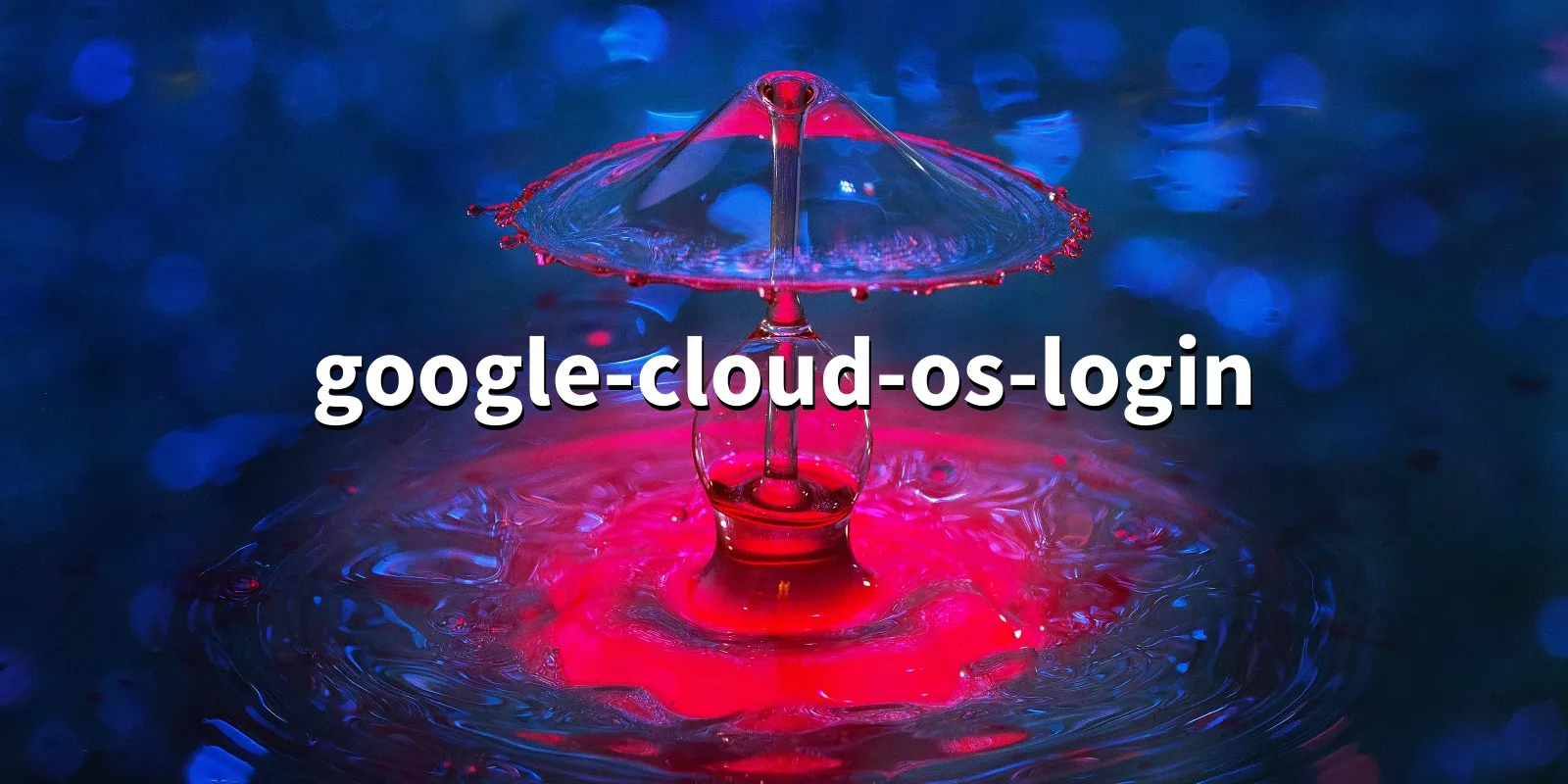 /pkg/g/google-cloud-os-login/google-cloud-os-login-banner.webp