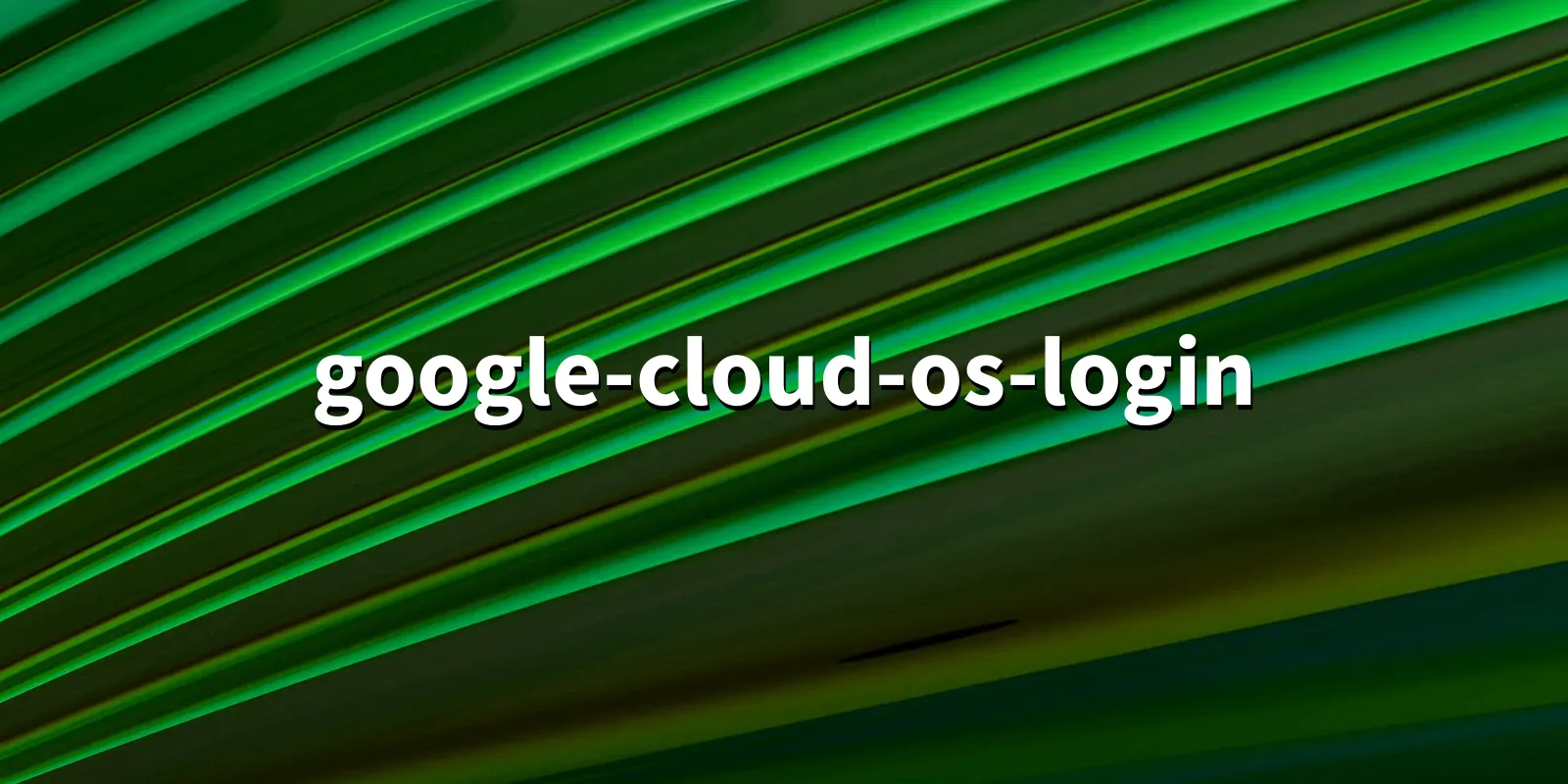 /pkg/g/google-cloud-os-login/google-cloud-os-login-banner.webp