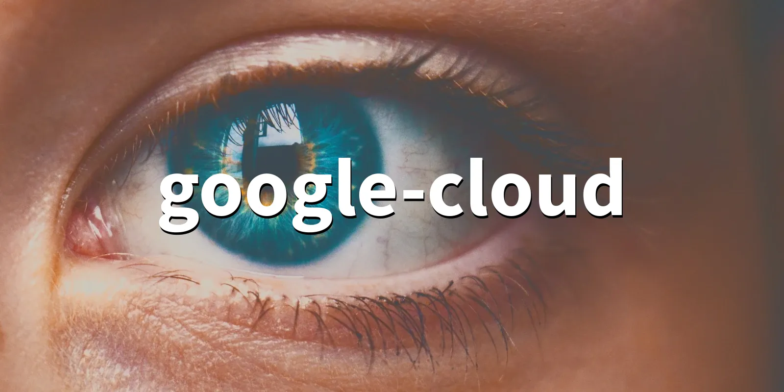 /pkg/g/google-cloud/google-cloud-banner.webp