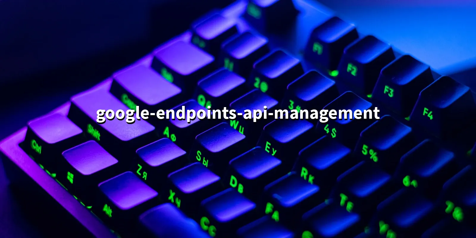 /pkg/g/google-endpoints-api-management/google-endpoints-api-management-banner.webp