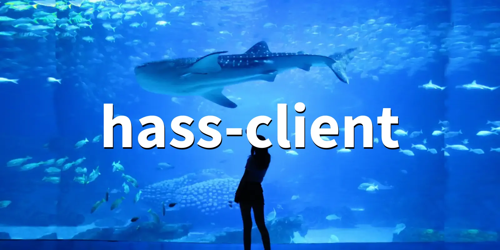 /pkg/h/hass-client/hass-client-banner.webp
