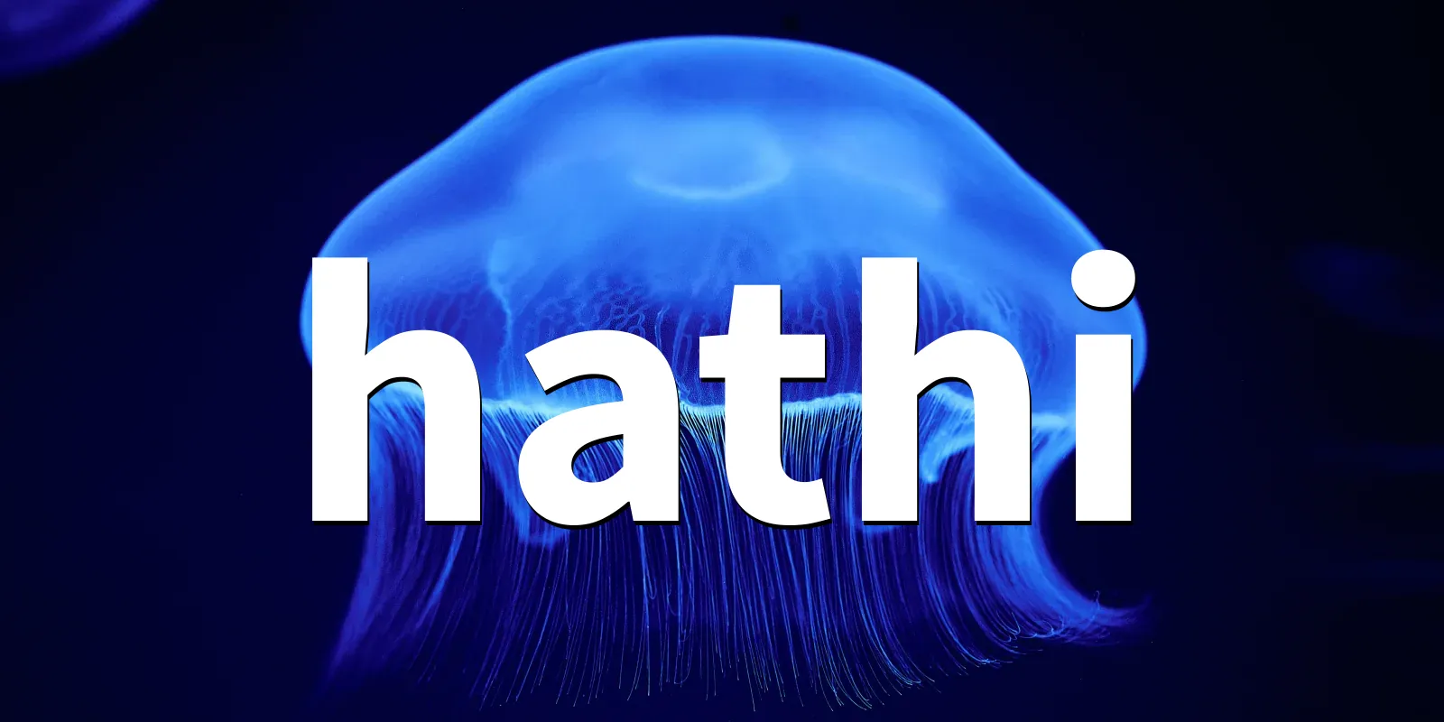 /pkg/h/hathi/hathi-banner.webp