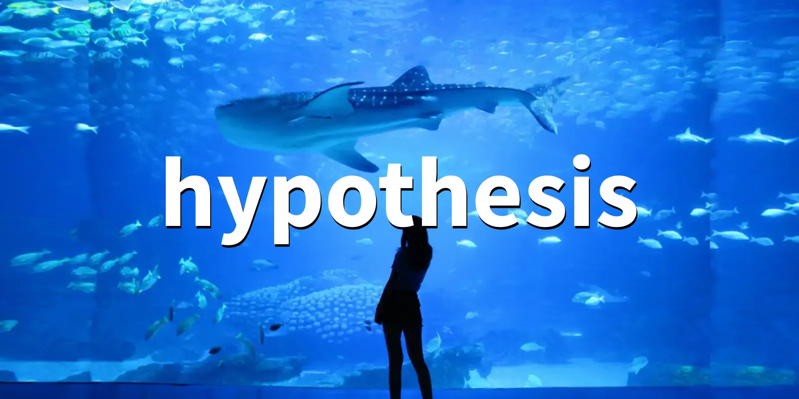 /pkg/h/hypothesis/hypothesis-banner.webp