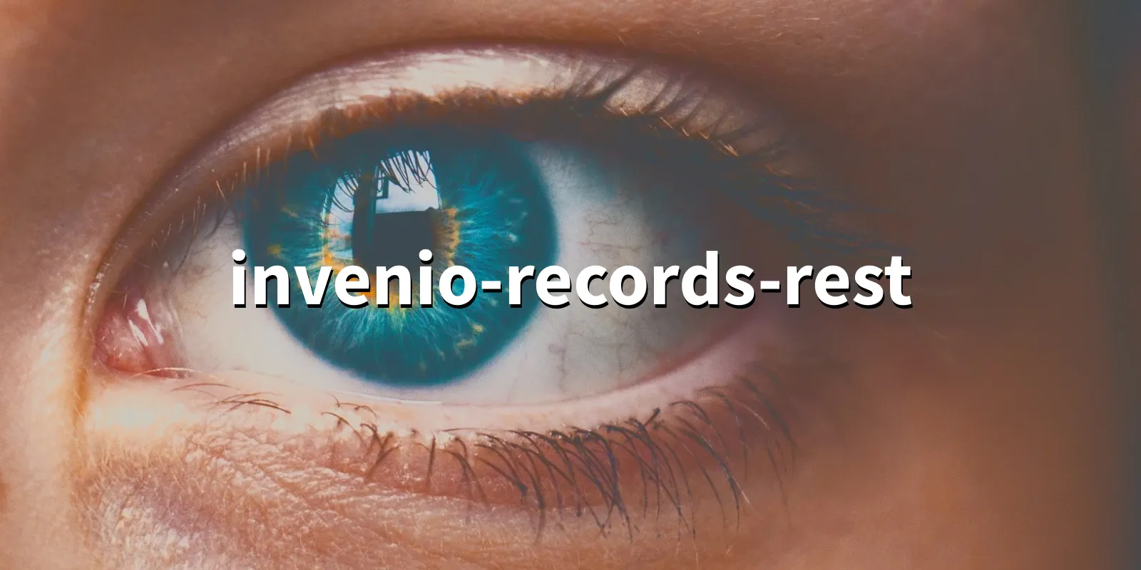 /pkg/i/invenio-records-rest/invenio-records-rest-banner.webp