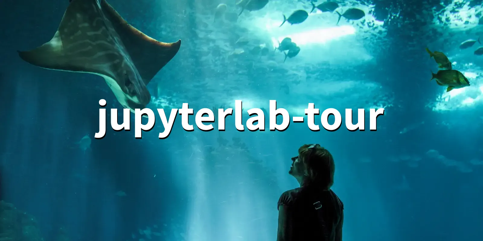 /pkg/j/jupyterlab-tour/jupyterlab-tour-banner.webp