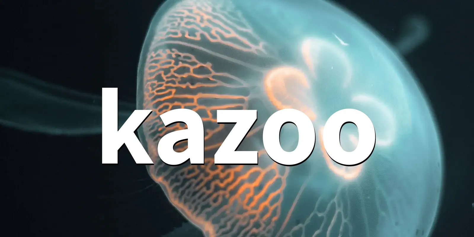 /pkg/k/kazoo/kazoo-banner.webp