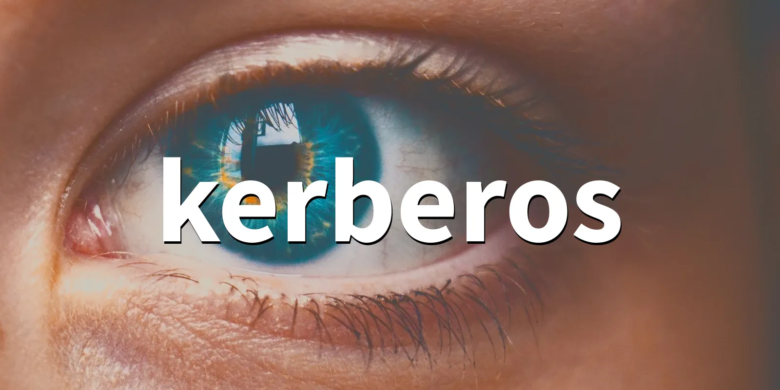 /pkg/k/kerberos/kerberos-banner.webp