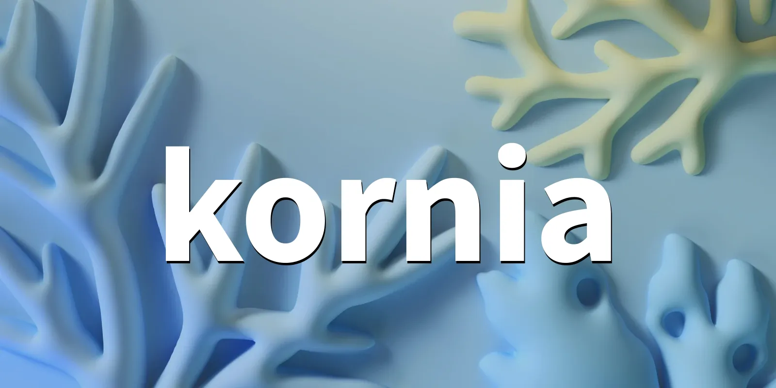 /pkg/k/kornia/kornia-banner.webp