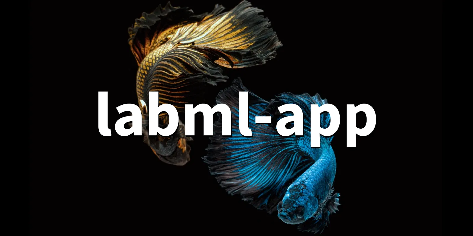 /pkg/l/labml-app/labml-app-banner.webp