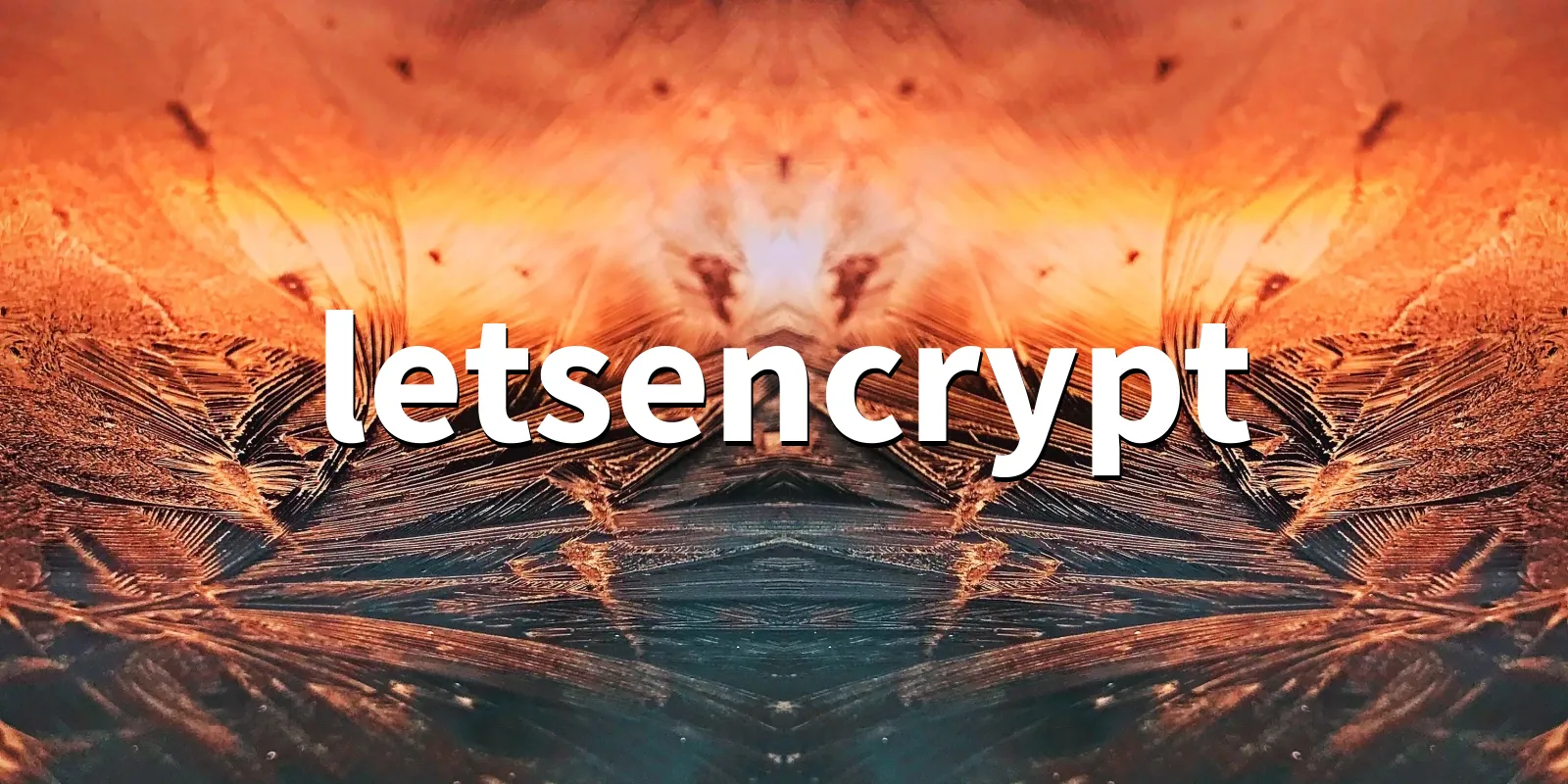 /pkg/l/letsencrypt/letsencrypt-banner.webp