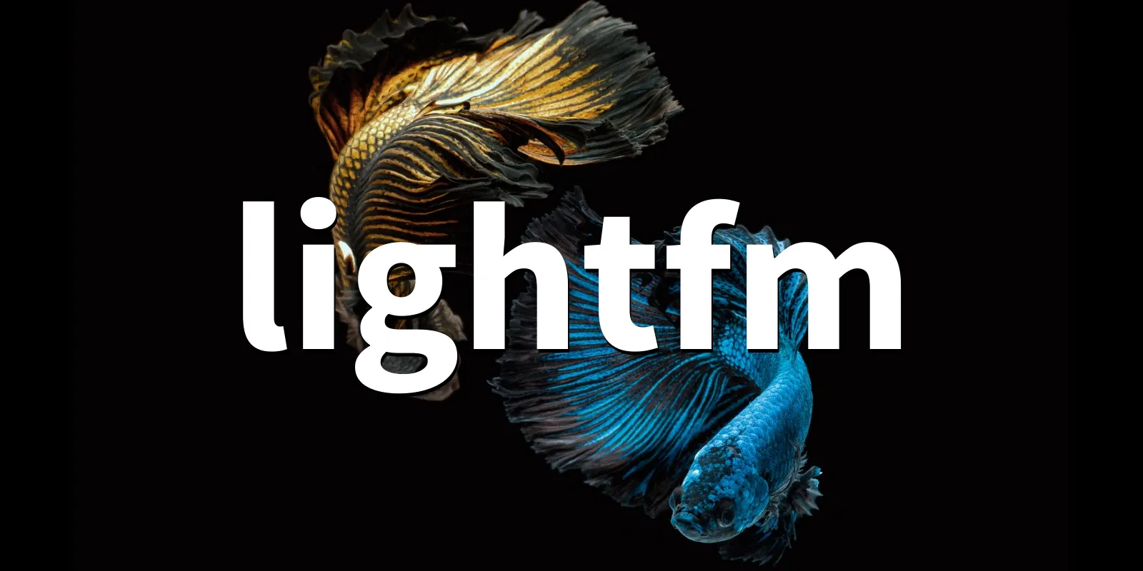 /pkg/l/lightfm/lightfm-banner.webp