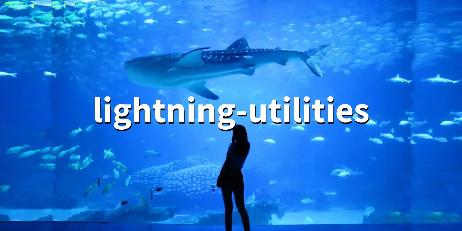 /pkg/l/lightning-utilities/lightning-utilities-banner.webp