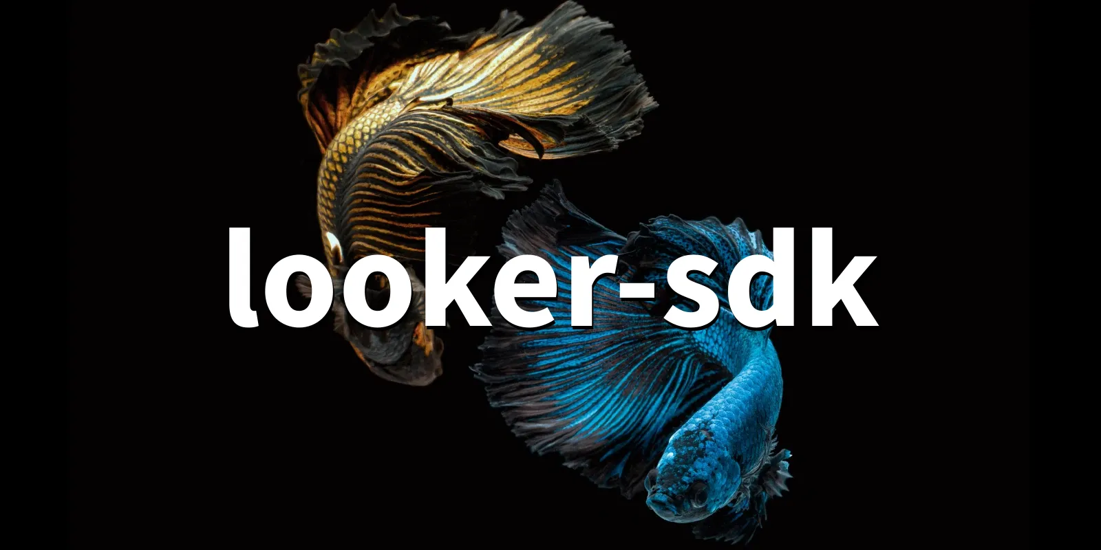 /pkg/l/looker-sdk/looker-sdk-banner.webp