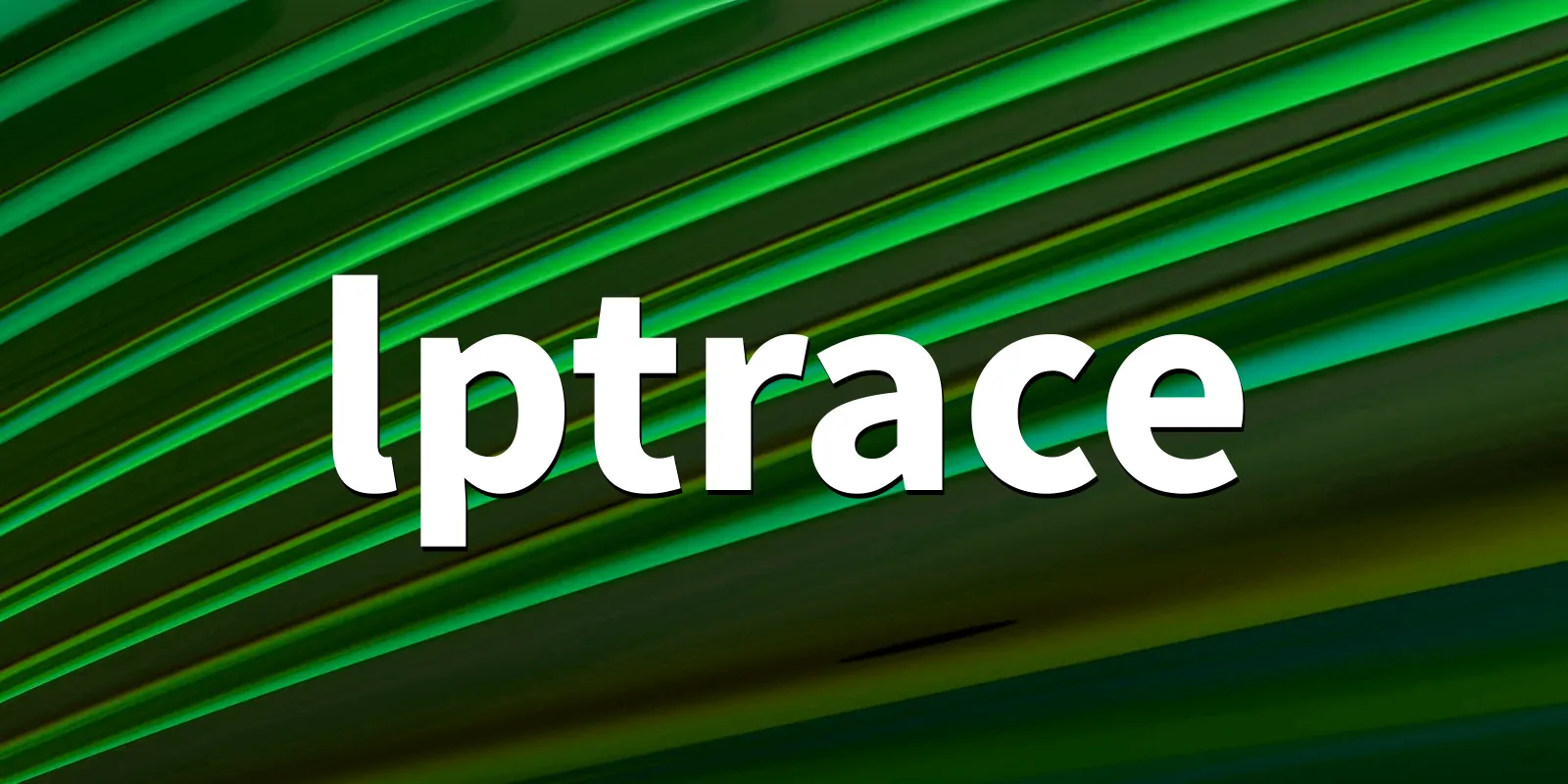 /pkg/l/lptrace/lptrace-banner.webp